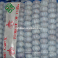 normal white garlic factory price for the international market